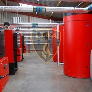 Птахоферма Великобританія, Уельс, Вілшлуп Птахоферма Великобританія, Уельс, Вілшлуп