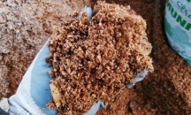 Тирса з хвойних порід