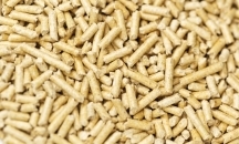 Пелети з хвойних порід