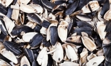 Лушпиння соняшника