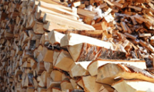 Дрова березові