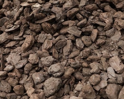 Буре вугілля (Александрія)