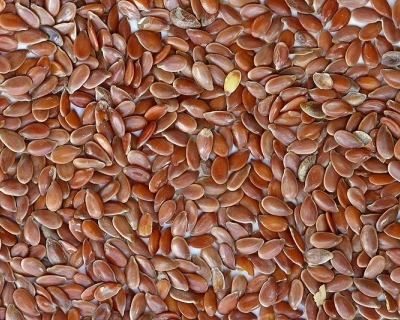 Костриця з льону