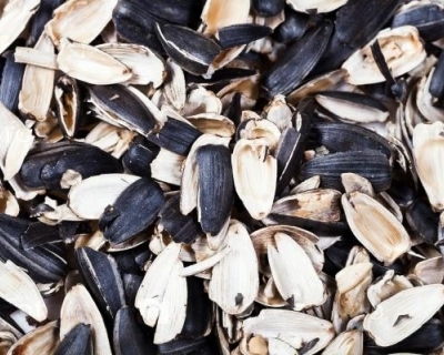 Лушпиння соняшника