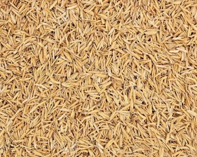 Лушпиння з рису