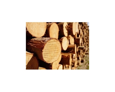 Дрова из хвойной  древесины